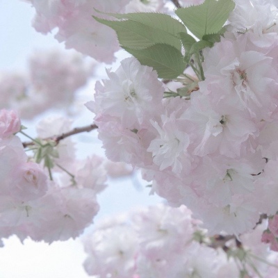 兽设质感表现技巧福瑞群